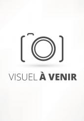PARTS SOCIALES SALON DE COIFFURE SUITE SAISIE-VENTE vente aux enchères 